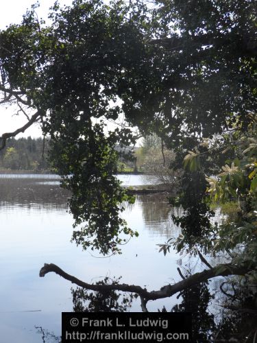 Lough Gill